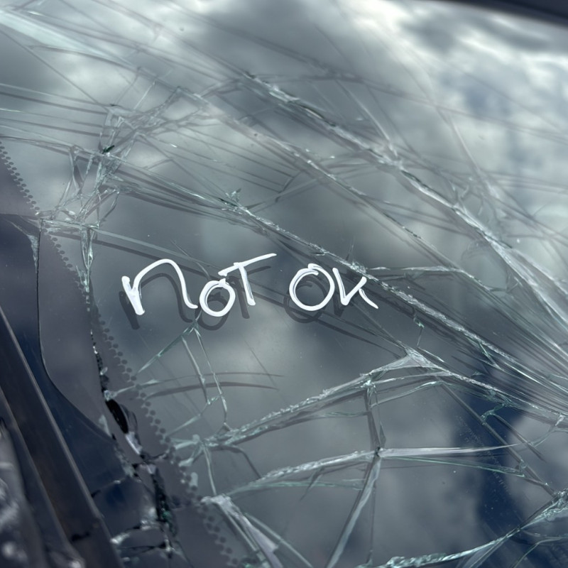 RENAULT TRAFIC 3 COURT PHASE 1 1.6 DCI - 16V TURBO Photo n°31