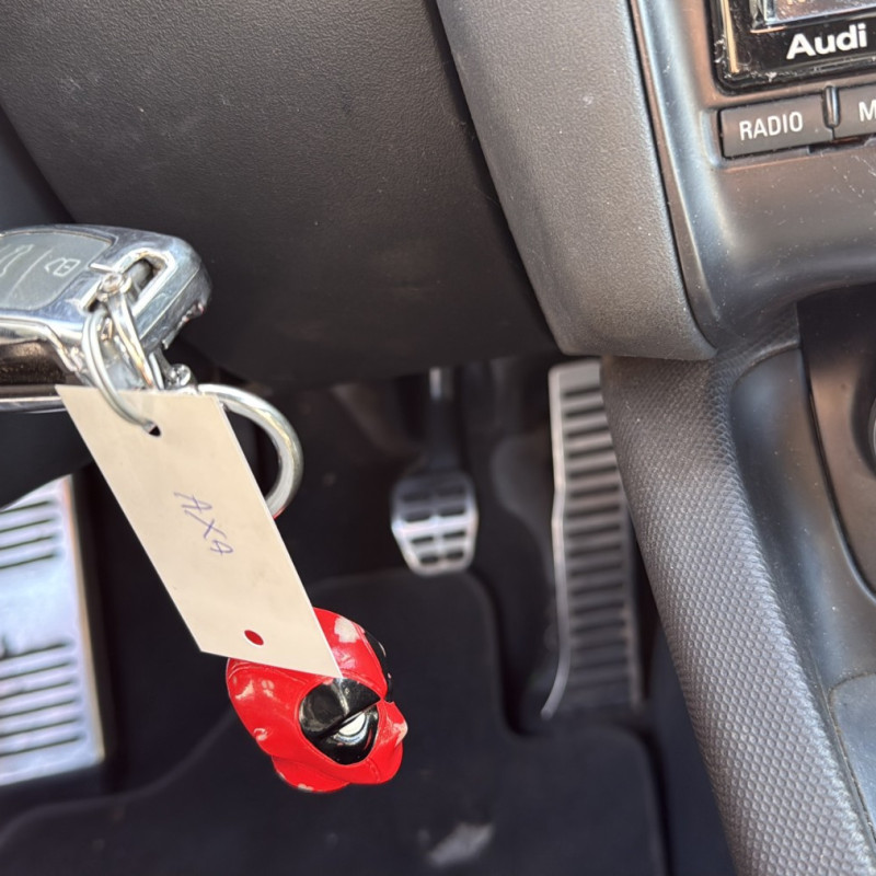 AUDI TT 2 COUPE PHASE 1 2.0 TFSI - 16V TURBO Photo n°14