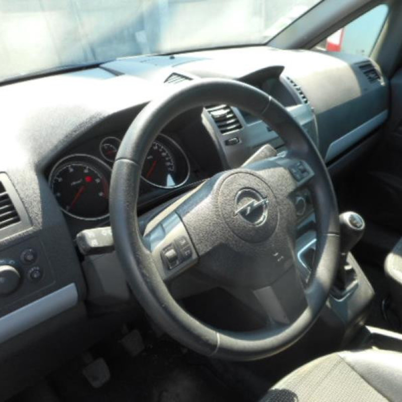 Porte avant gauche OPEL ZAFIRA B Photo n°10