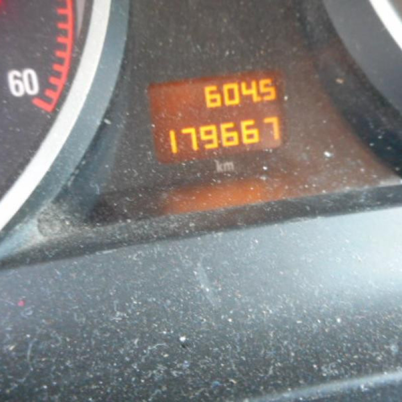 Porte avant gauche OPEL ZAFIRA B Photo n°12