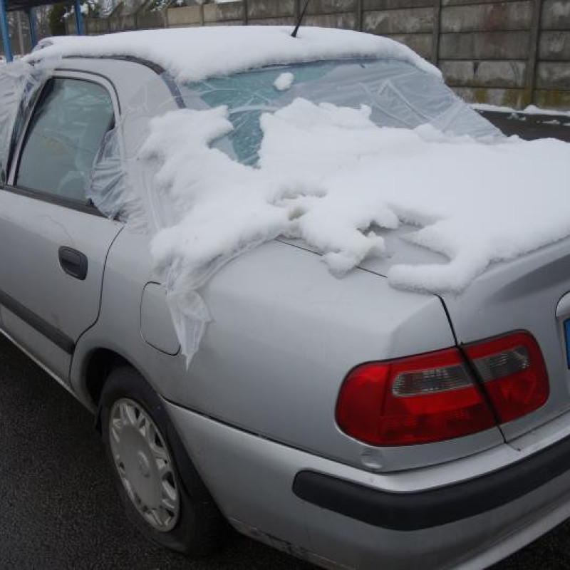 Porte arriere gauche MITSUBISHI CARISMA Photo n°6