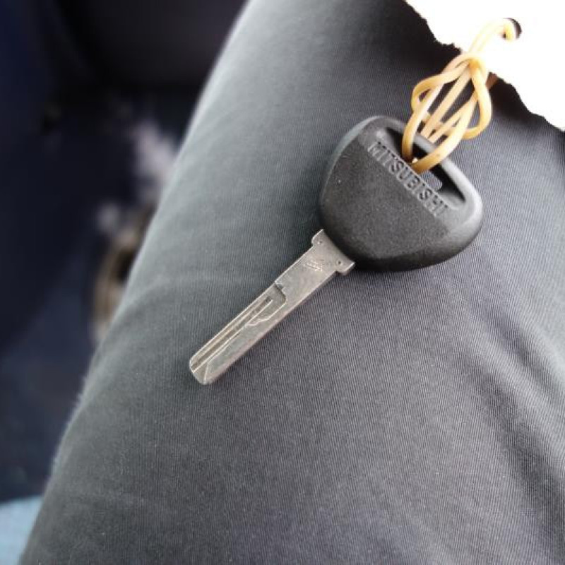 Porte arriere gauche MITSUBISHI CARISMA Photo n°9