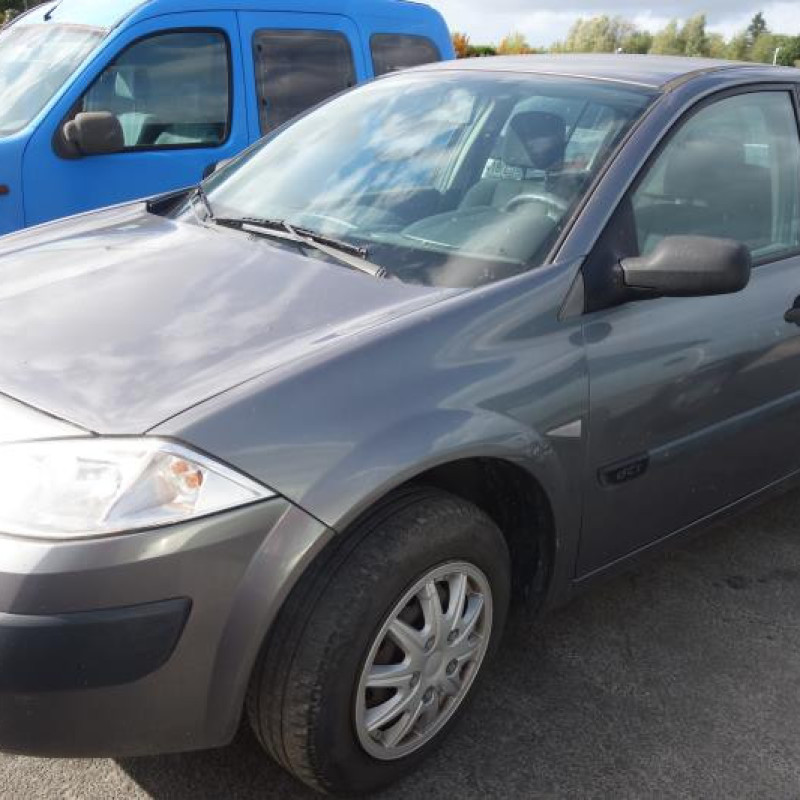 Porte avant gauche RENAULT MEGANE 2 Photo n°3