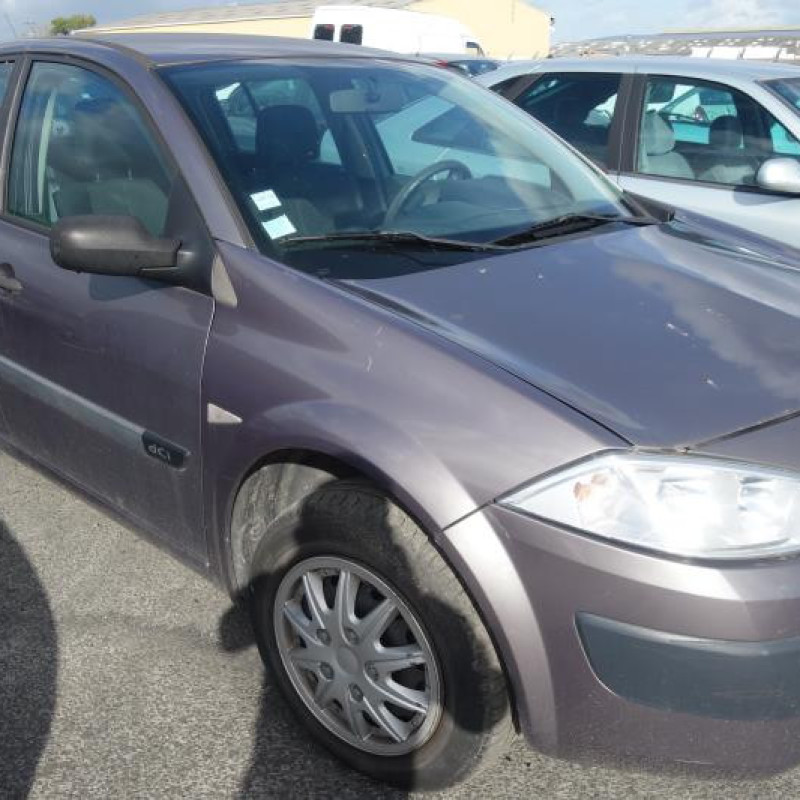 Porte avant gauche RENAULT MEGANE 2 Photo n°4