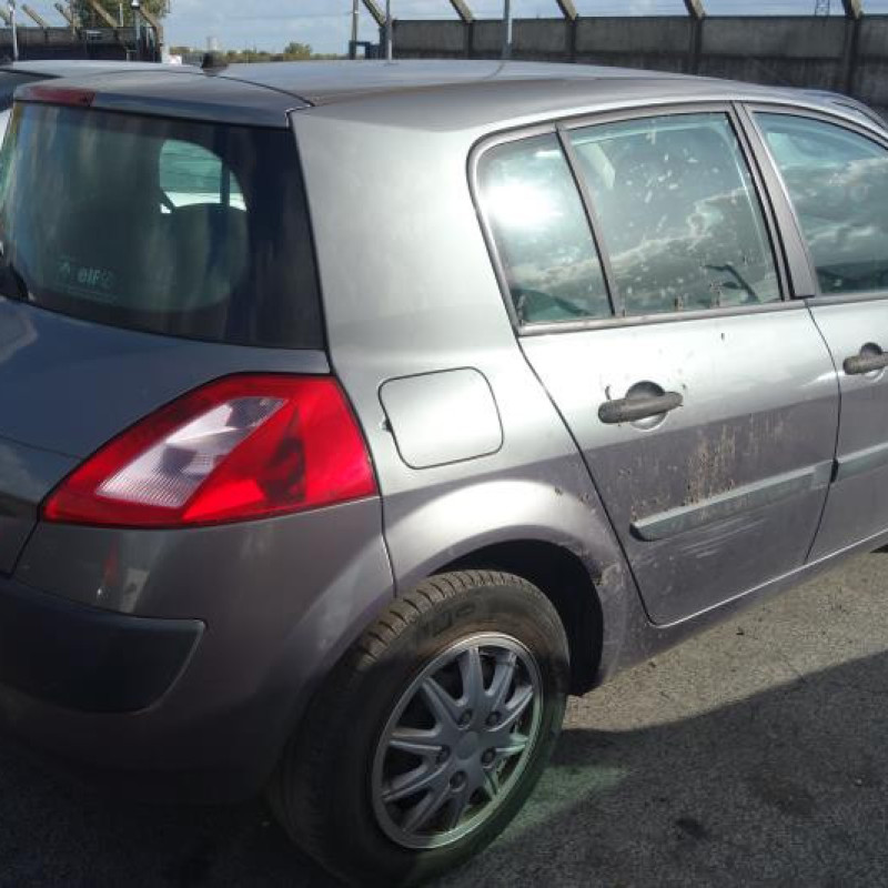 Porte avant gauche RENAULT MEGANE 2 Photo n°5