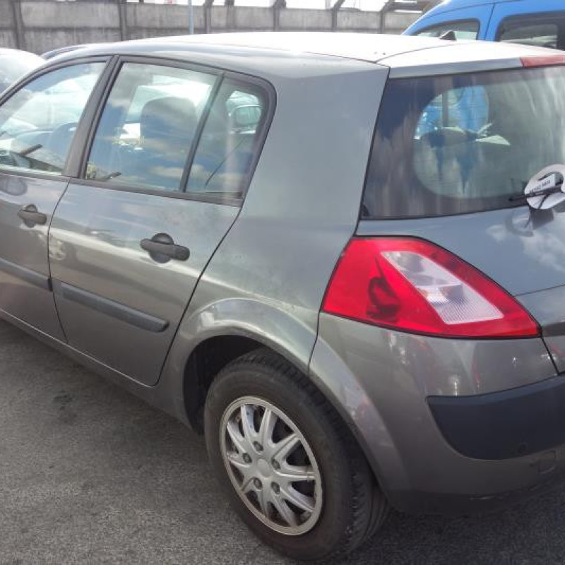 Porte avant gauche RENAULT MEGANE 2 Photo n°6