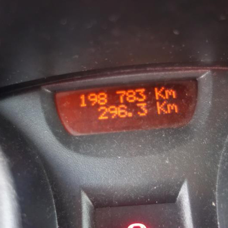 Porte avant gauche RENAULT MEGANE 2 Photo n°9