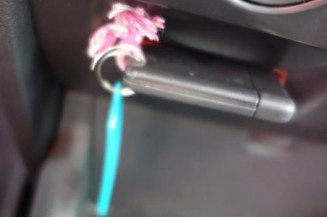 Porte avant gauche RENAULT MEGANE 2