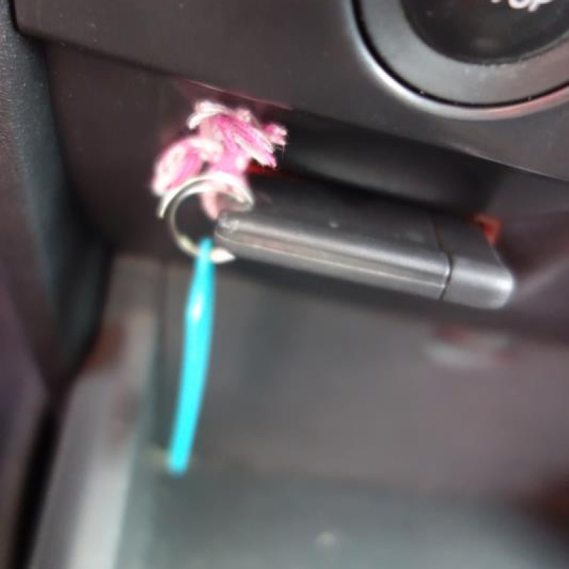 Porte avant gauche RENAULT MEGANE 2 Photo n°10