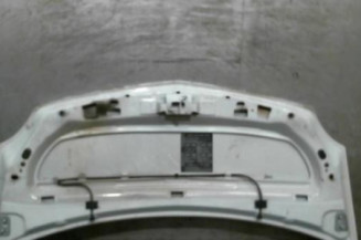 Capot RENAULT KANGOO 2 Photo n°1