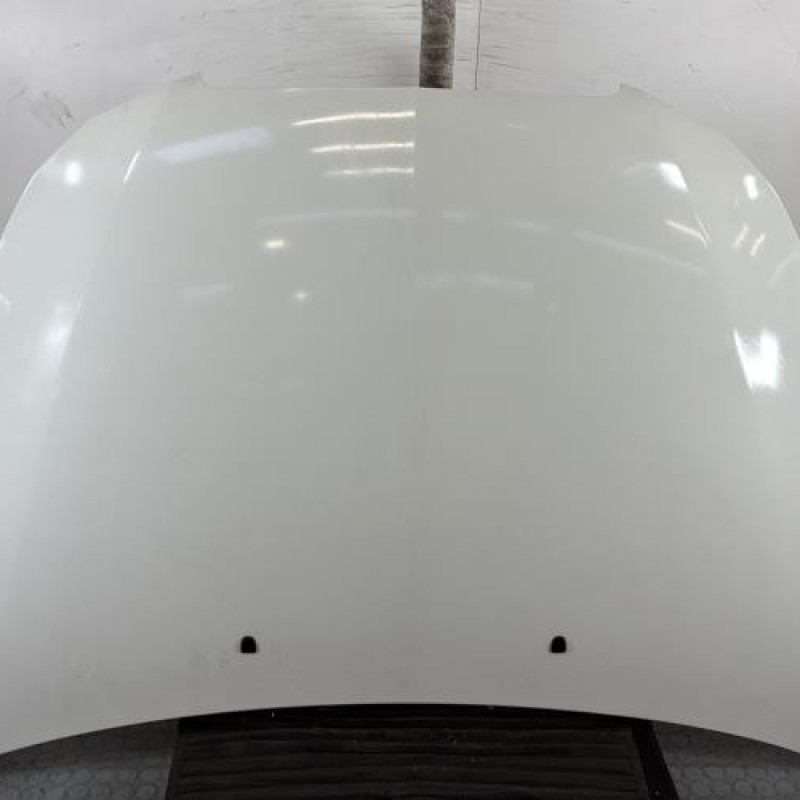 Capot LANCIA DELTA 3 Photo n°1