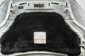 Capot LANCIA DELTA 3