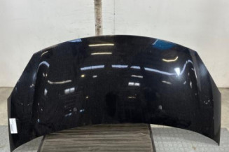 Capot DS DS3 Photo n°1