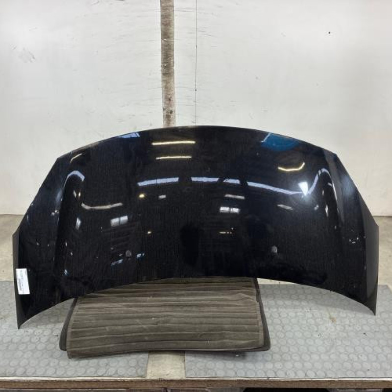 Capot DS DS3 Photo n°1