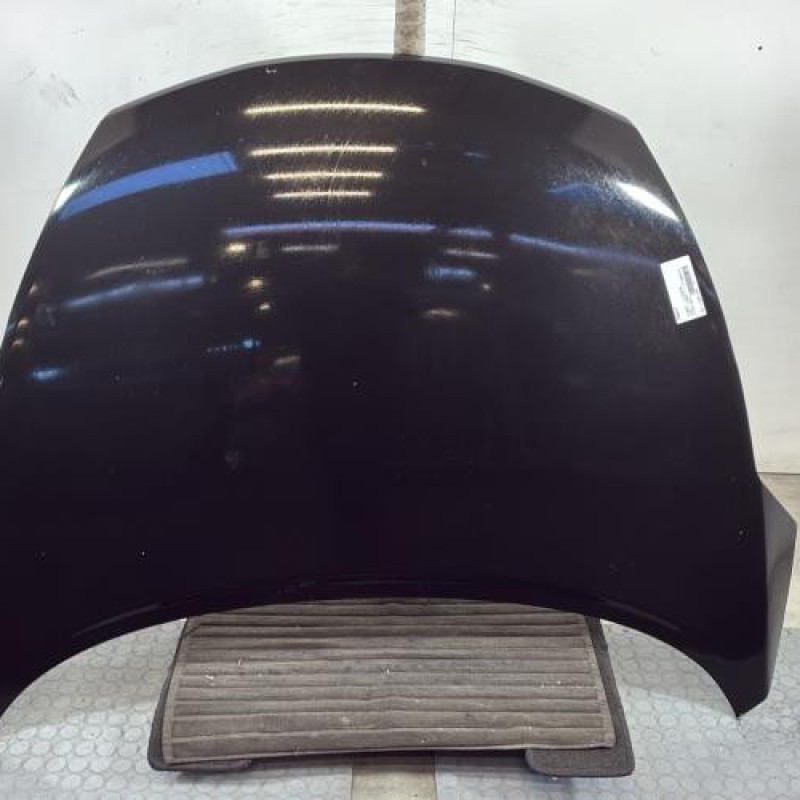 Capot NISSAN JUKE 1 Photo n°1