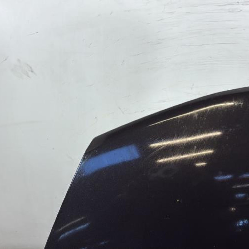 Capot NISSAN JUKE 1 Photo n°2