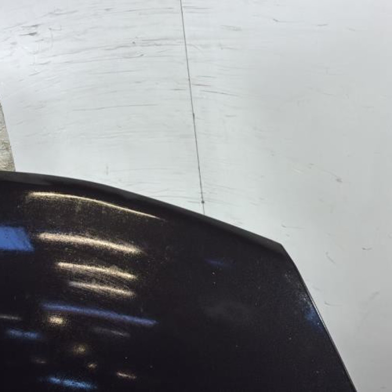 Capot NISSAN JUKE 1 Photo n°3