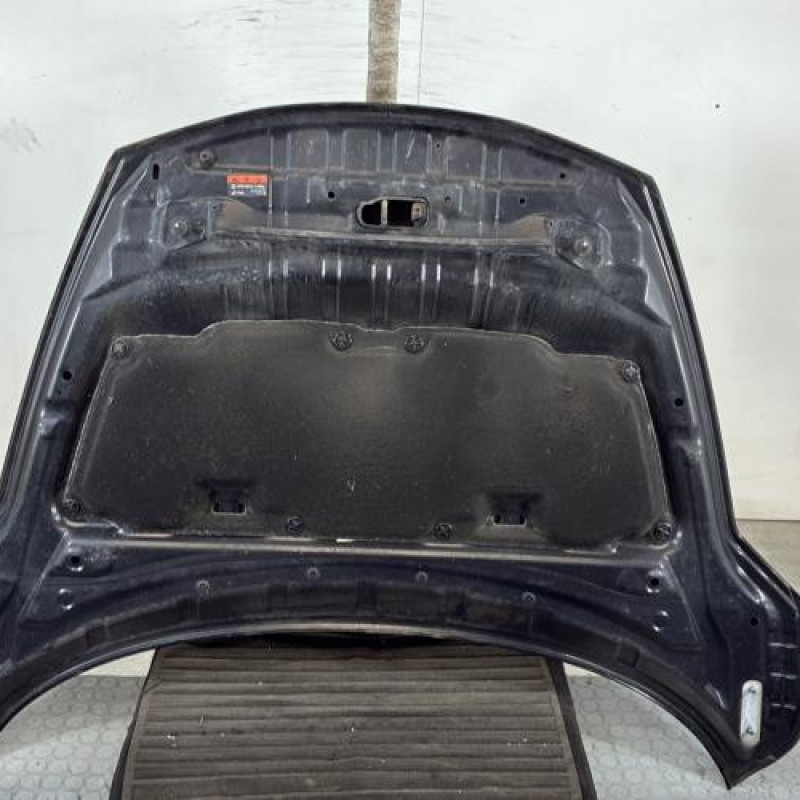 Capot NISSAN JUKE 1 Photo n°6