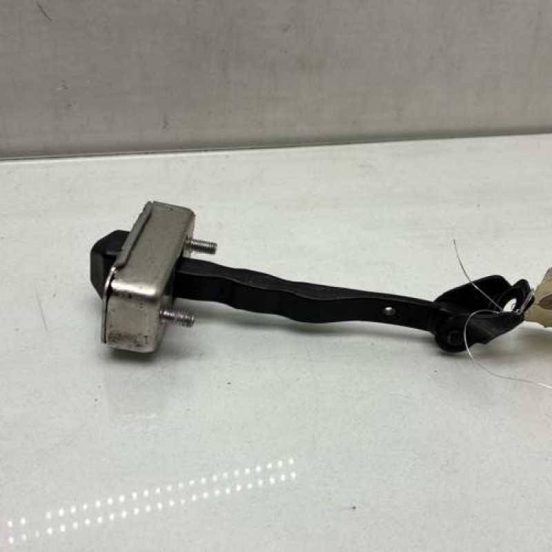 Arret de porte avant gauche RENAULT SCENIC 4 Photo n°2