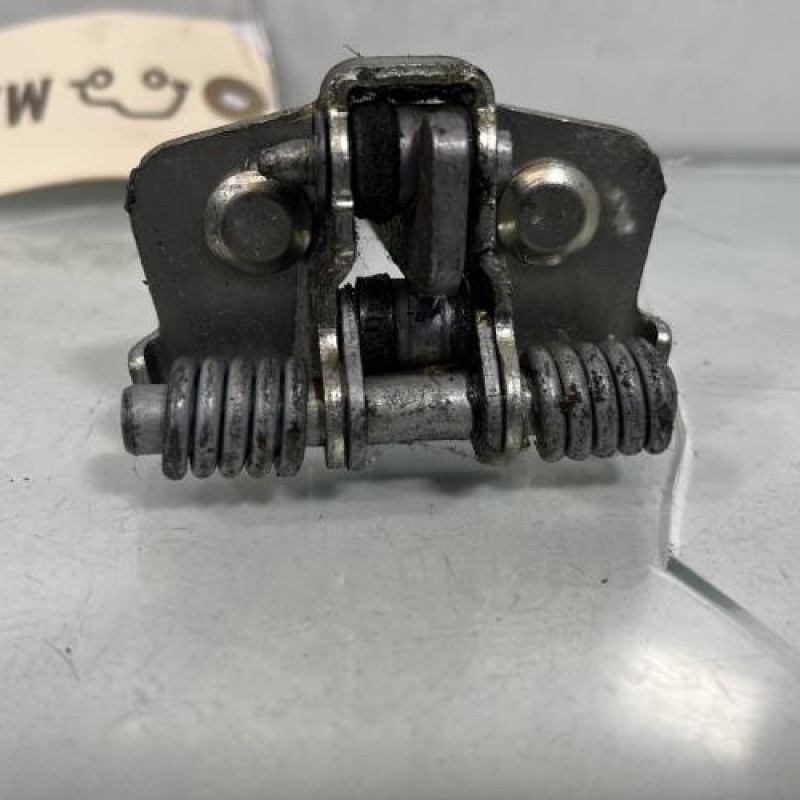 Arret de porte avant gauche DACIA SANDERO 1 Photo n°3