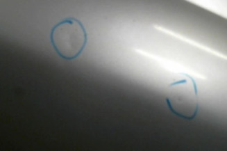 Porte avant gauche PEUGEOT 406