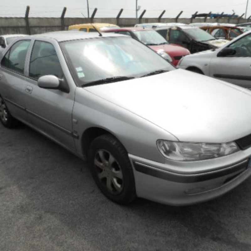 Porte avant gauche PEUGEOT 406 Photo n°5