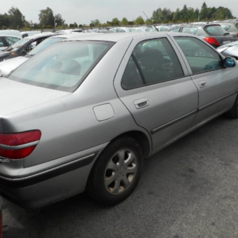 Porte avant gauche PEUGEOT 406 Photo n°6