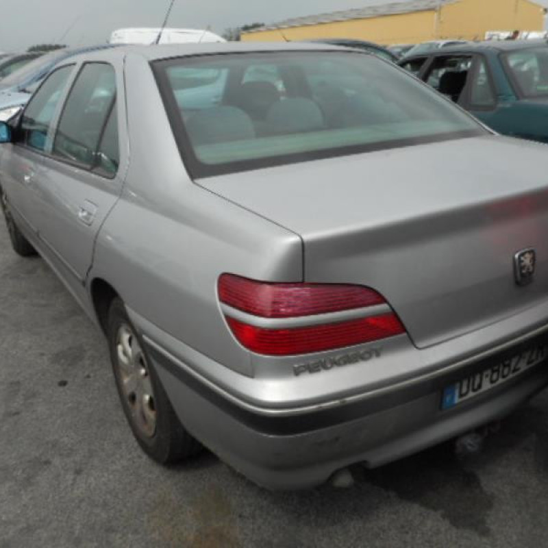 Porte avant gauche PEUGEOT 406 Photo n°7