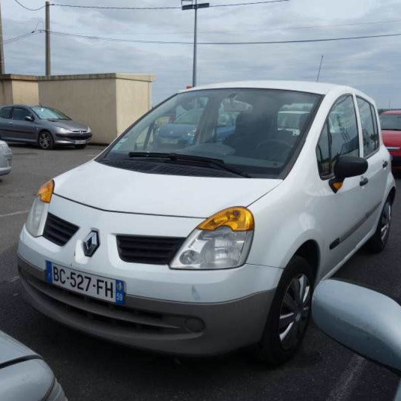 Porte arriere droit RENAULT MODUS Photo n°4