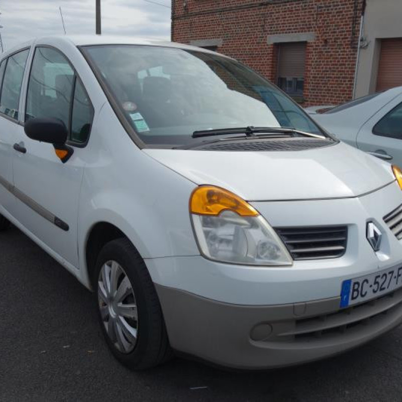 Porte arriere droit RENAULT MODUS Photo n°5