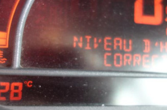 Porte arriere droit RENAULT MODUS