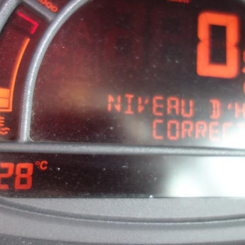 Porte arriere droit RENAULT MODUS Photo n°11