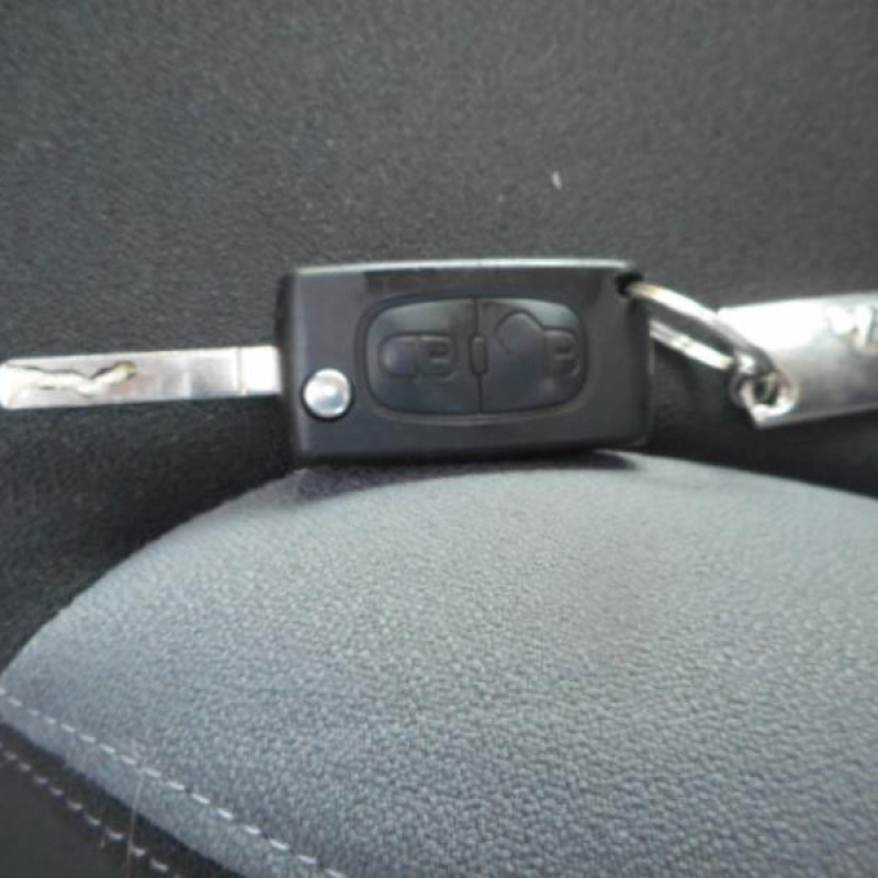 Porte arriere droit CITROEN C3 2 Photo n°12