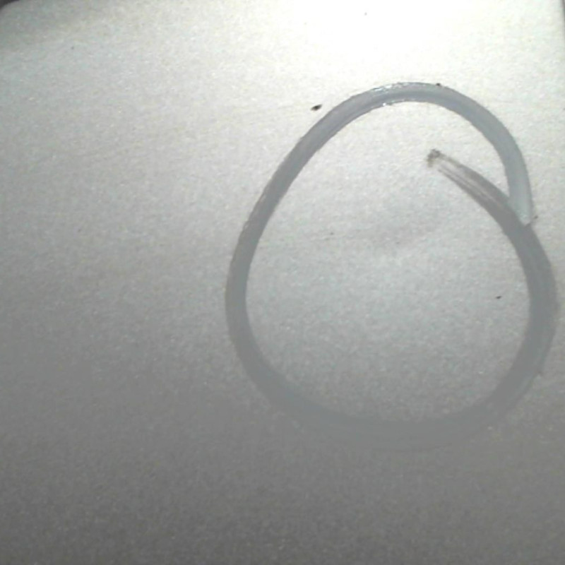 Porte avant gauche OPEL ZAFIRA B Photo n°2