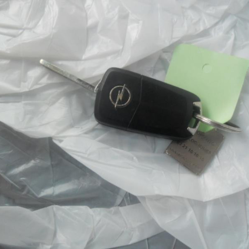 Porte avant gauche OPEL ZAFIRA B Photo n°11