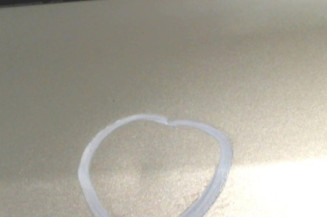 Porte arriere droit RENAULT MODUS