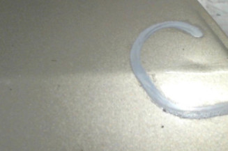 Porte arriere droit RENAULT MODUS