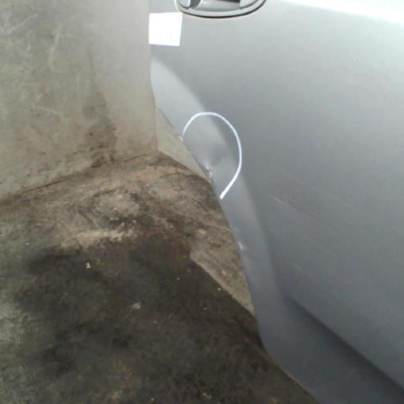 Porte arriere droit FIAT PUNTO EVO 3 Photo n°3