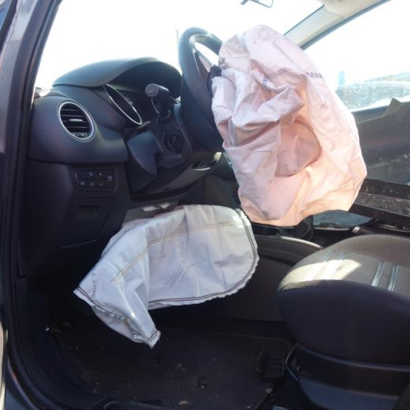 Porte arriere droit FIAT PUNTO EVO 3 Photo n°10