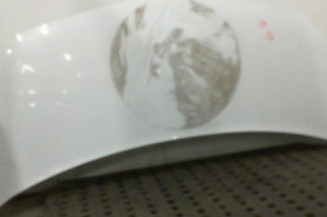 Capot RENAULT KANGOO 2 Photo n°1