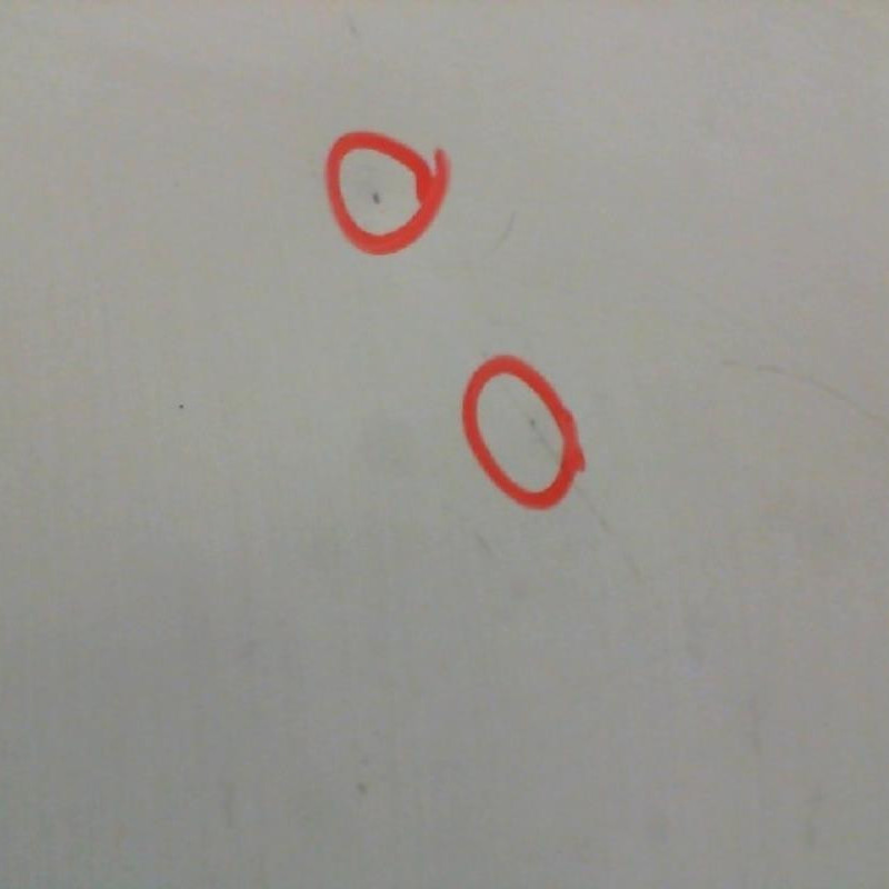 Capot RENAULT KANGOO 2 Photo n°2