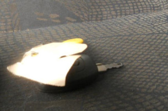 Capot RENAULT TRAFIC 2