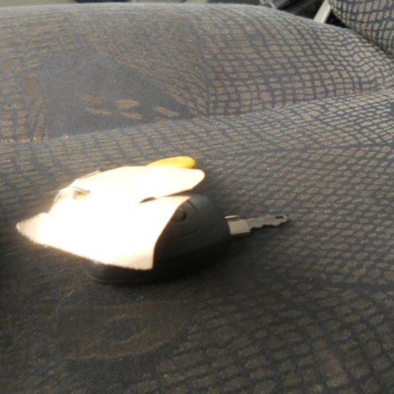 Capot RENAULT TRAFIC 2 Photo n°7