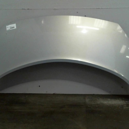 Capot RENAULT SCENIC 2 Photo n°1