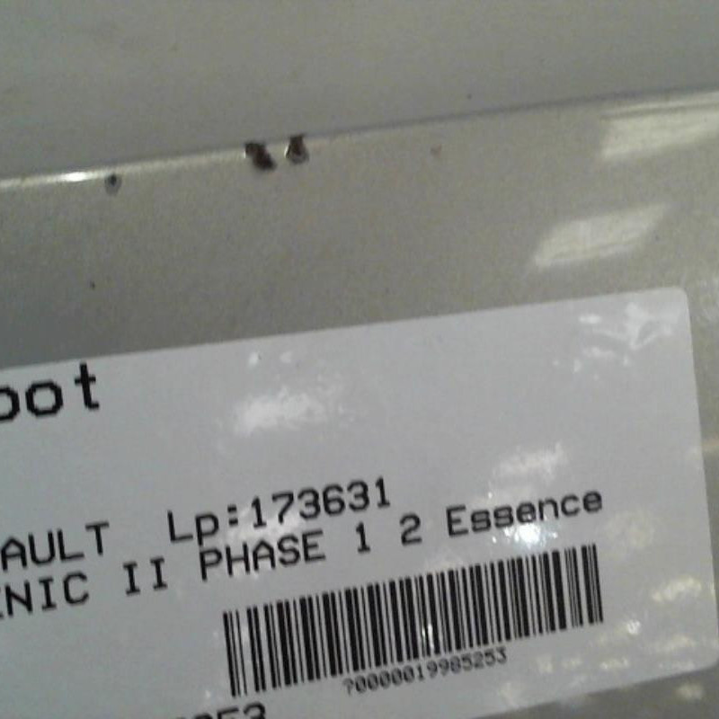 Capot RENAULT SCENIC 2 Photo n°2