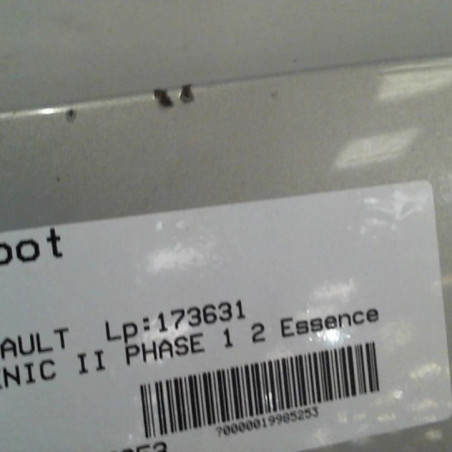 Capot RENAULT SCENIC 2