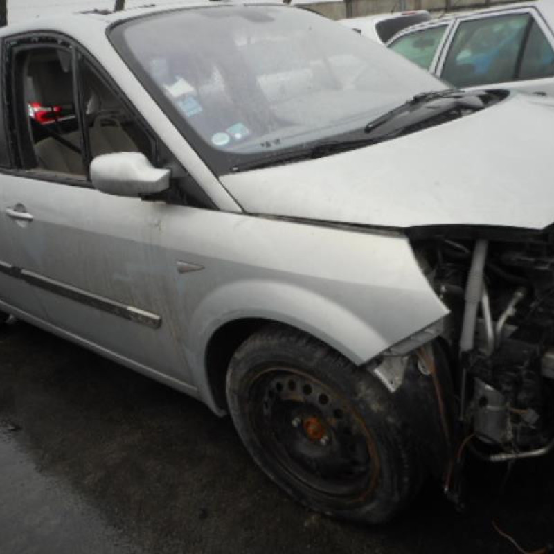 Capot RENAULT SCENIC 2 Photo n°4