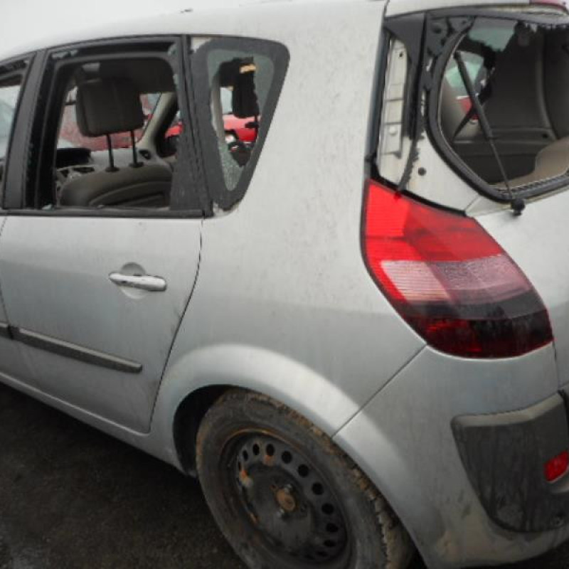 Capot RENAULT SCENIC 2 Photo n°6