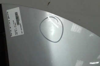 Porte arriere gauche PEUGEOT 206