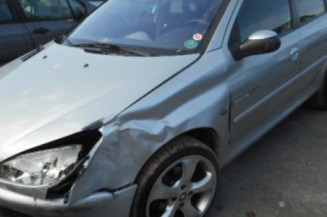 Porte arriere gauche PEUGEOT 206